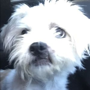 Meet your Posher, Delyla